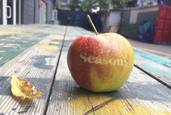 гравировка на яблоке. Seasons. made by Make